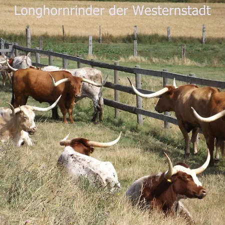 아파트 Harzhaus *