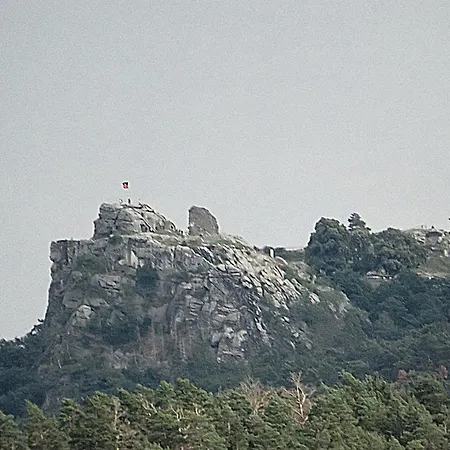 Harzhaus 아파트