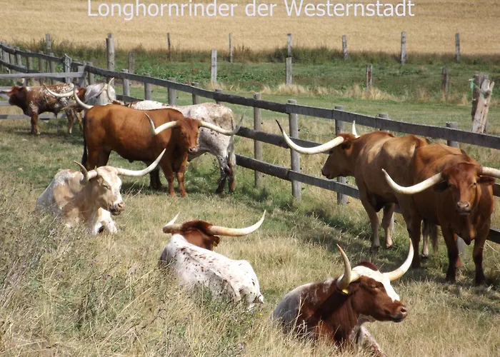 아파트 Harzhaus *